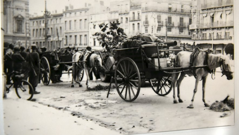 80 ans de la Libération à Montpellier : le 21 août 1944 éclatait une fusillade place de la Comédie, causant trois morts et des blessés