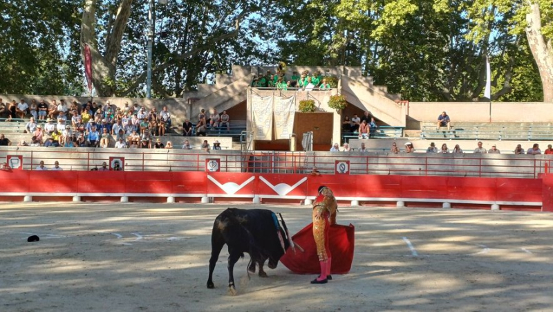 L'Alliance anticorrida dépose plainte après la diffusion d'images de la novillada de Beaucaire