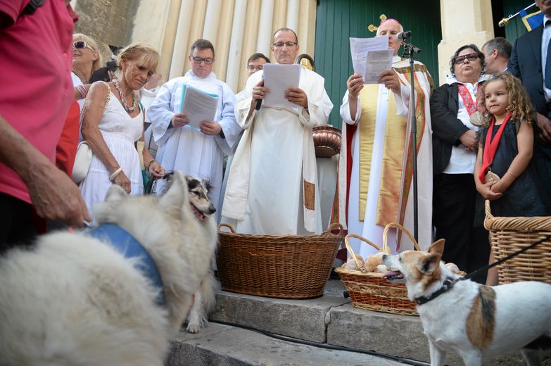 Saint-Roch Festival in Montpellier: parades, flag-waving, blessing of the dogs… the program of festivities for August 15 and 16