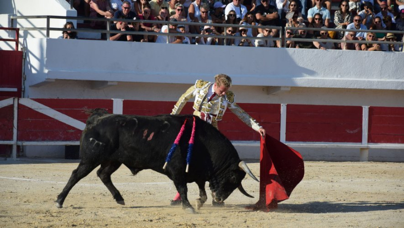 Trois matadors au cartel des Saintes-Maries-de-la-Mer ce dimanche