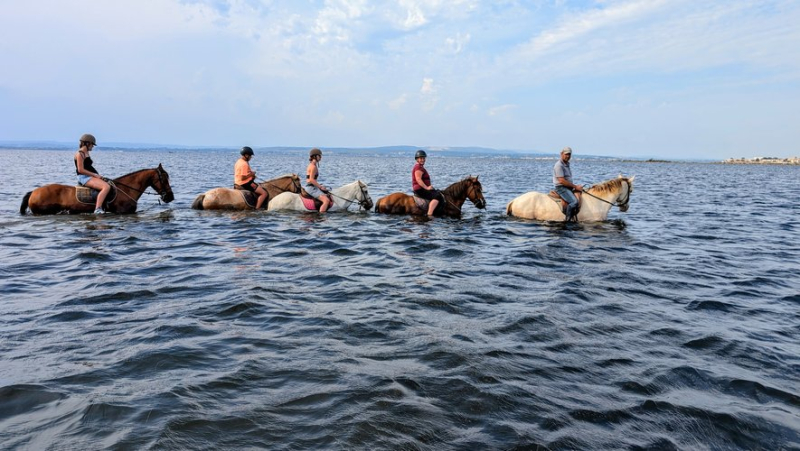 “It’s great, really special”: discovering the Salins de Villeroy and the Thau lagoon on horseback