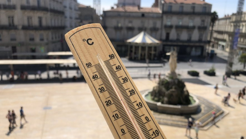 Where is it coolest in Montpellier: discover our selection of 5 parks where you can cool off with lower temperatures