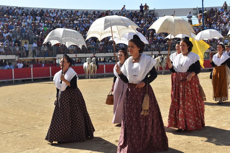 The Camargue: 5 traditions to understand the Camargue world