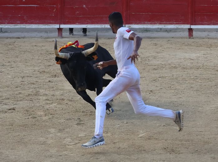 Villeneuve-lès-Maguelone: ​​Katif and Caruso take the podium in the Vineyard and Ponds final