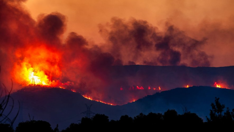 Exposure to Wildfire Smoke: What It Is and What Are the Health Risks ?