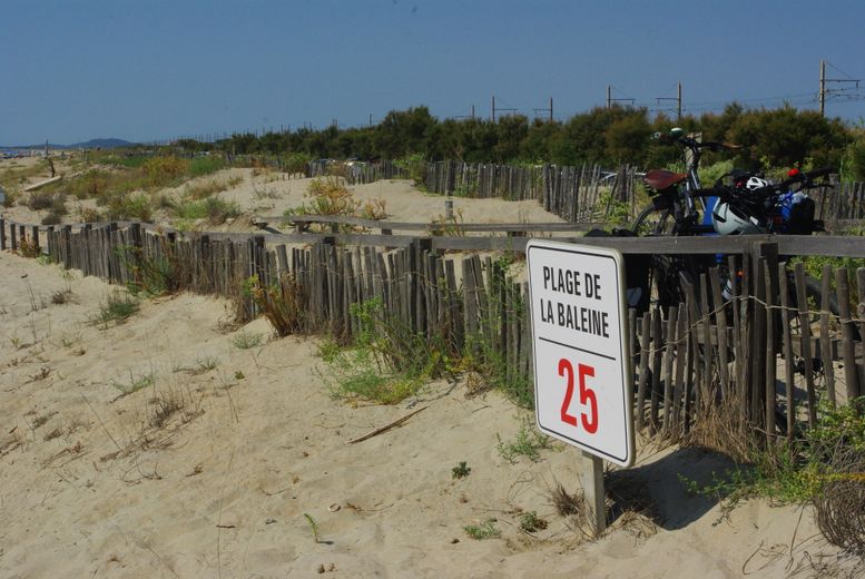 Une association environnementale classe les plages de Sète parmi les plus saines de France