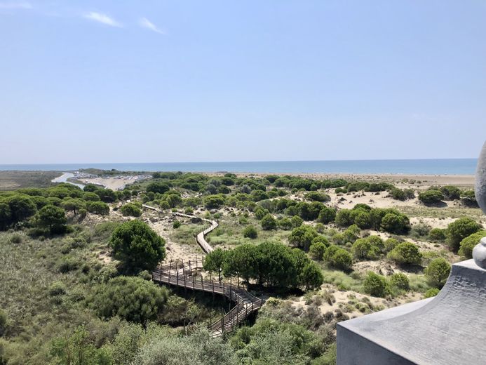 Guided tours of the Espiguette lighthouse in Grau-du-Roi: an enlightening journey through time and the elements