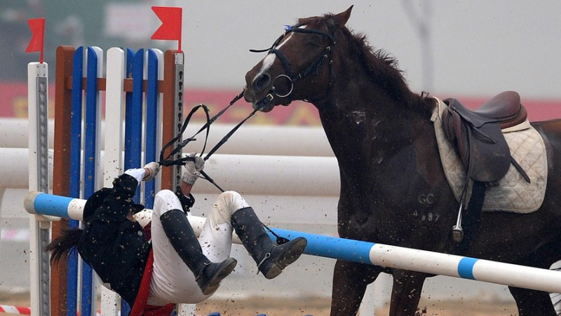 Draw, stress, animal welfare... why horse riding will be removed from the modern pentathlon at the 2028 Olympic Games ?