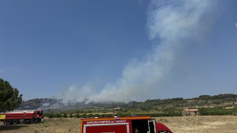 New fire in western Hérault, in Cruzy: around ten hectares already devoured by flames