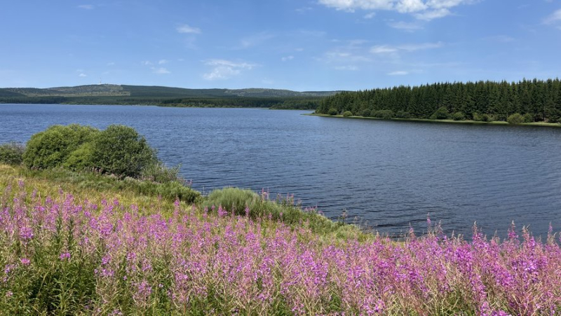 The must-see summer walks in Lozère: Lake Charpal on the Palais-du-Roi plateau