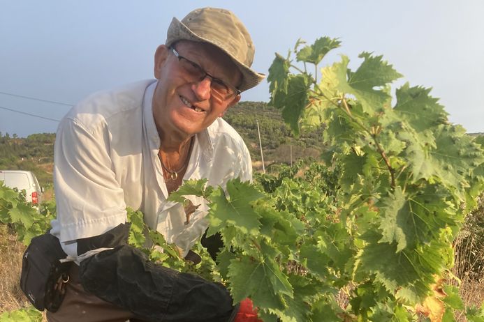 Valter, 75-year-old grape harvester, Sacha, 18-year-old cashier: meeting the seasonal workers of the Thau basin