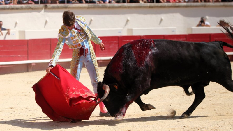 Feria de Béziers: Lalo de Maria triumphant with a great novillada