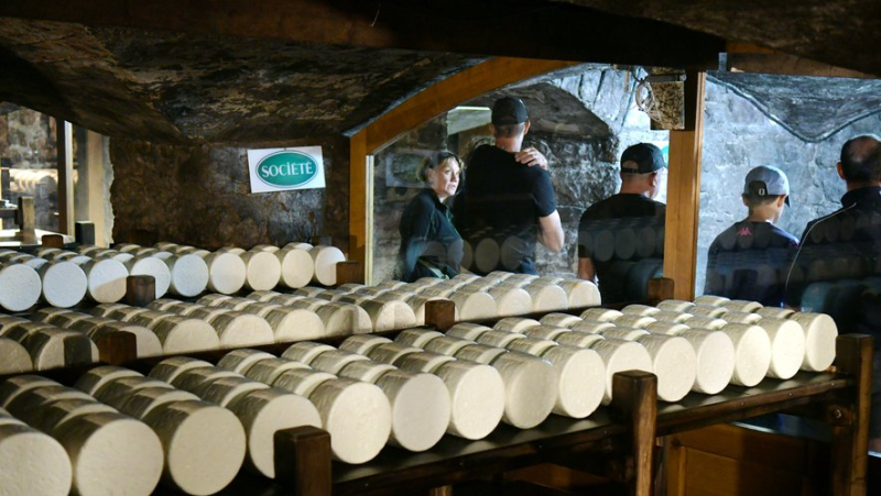 In the bowels of Roquefort, a long and patient maturation of a cheese like no other