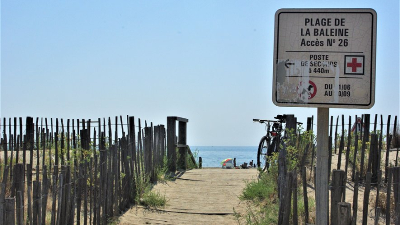 Une association environnementale classe les plages de Sète parmi les plus saines de France