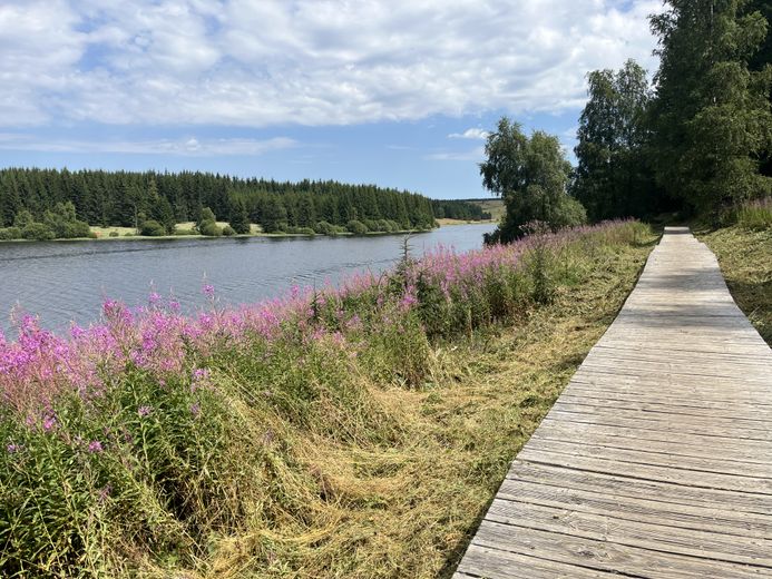 The must-see summer walks in Lozère: Lake Charpal on the Palais-du-Roi plateau