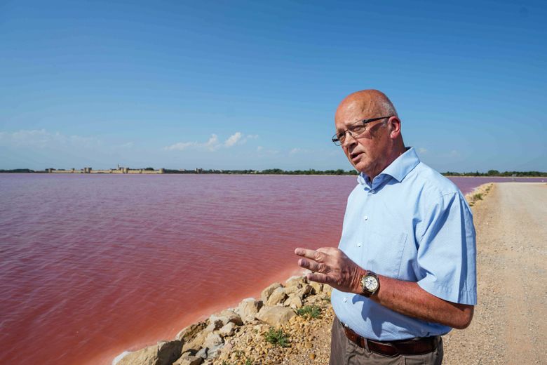 Les Salins d’Aigues-Mortes : une terre de vie au milieu de "l’or blanc"