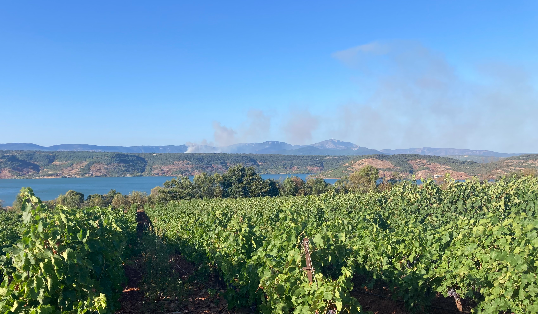 A pine forest fire breaks out in the commune of Saint-Privat, in Lodévois, the air fleet and firefighters sent to the scene