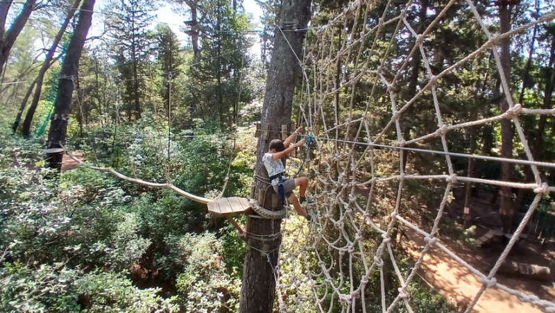 Tarzan jump, aerial skateboarding and rope bridges… acrobatics in the heart of the acrobats’ forest in Montagnac