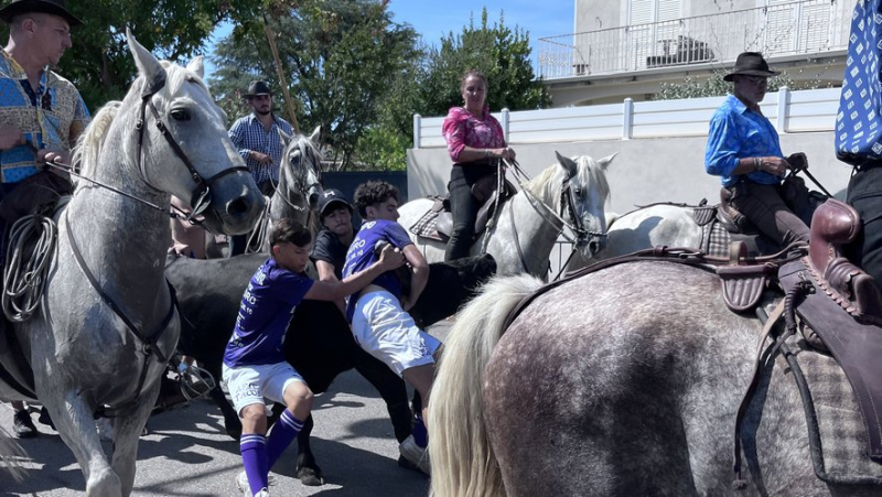 "At school, we used to have fun grabbing our legs as if they were horns": they are 14, 15 and 16 years old and rub shoulders with the bulls