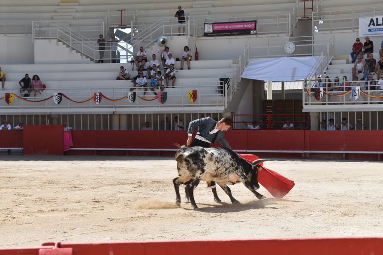 The Camargue: 5 traditions to understand the Camargue world