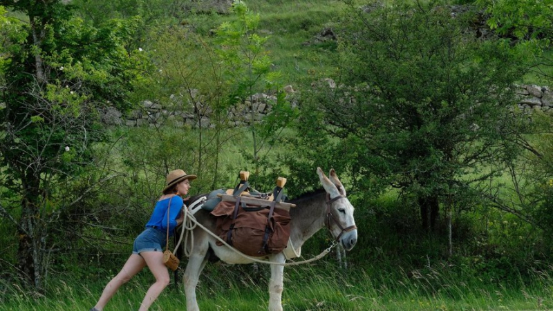 Going out in Montpellier: Village des Vignerons, “Antoinette dans les Cévennes”… ideas for this Monday, August 19