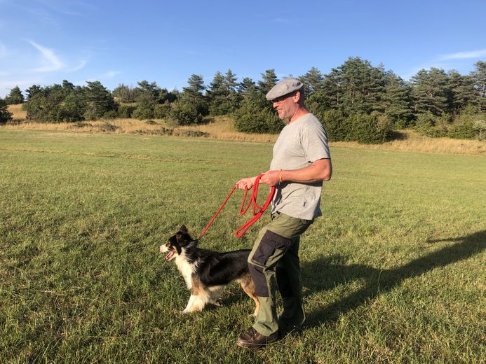 Walk to the Roquesaltes farm, on the Causse Noir, moments of sharing between visitors and the rural world