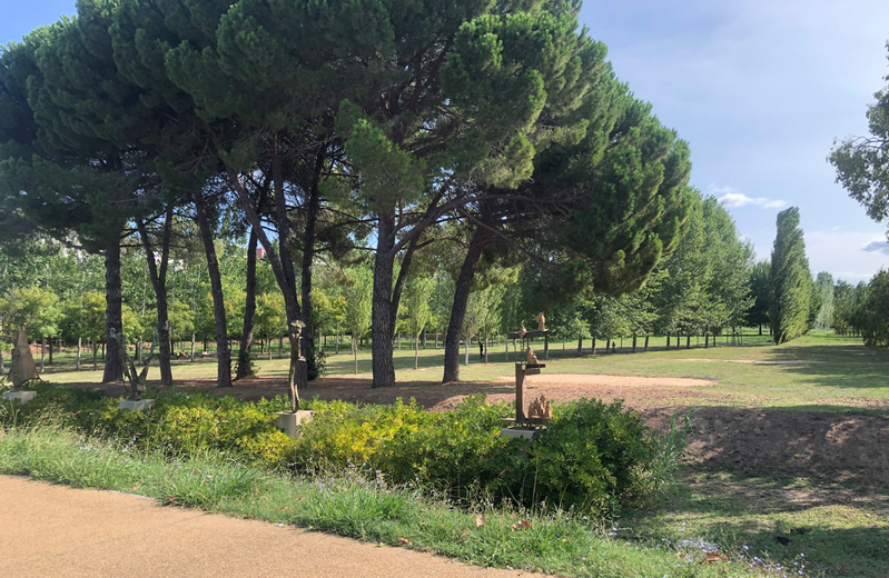 Where is it coolest in Montpellier: discover our selection of 5 parks where you can cool off with lower temperatures