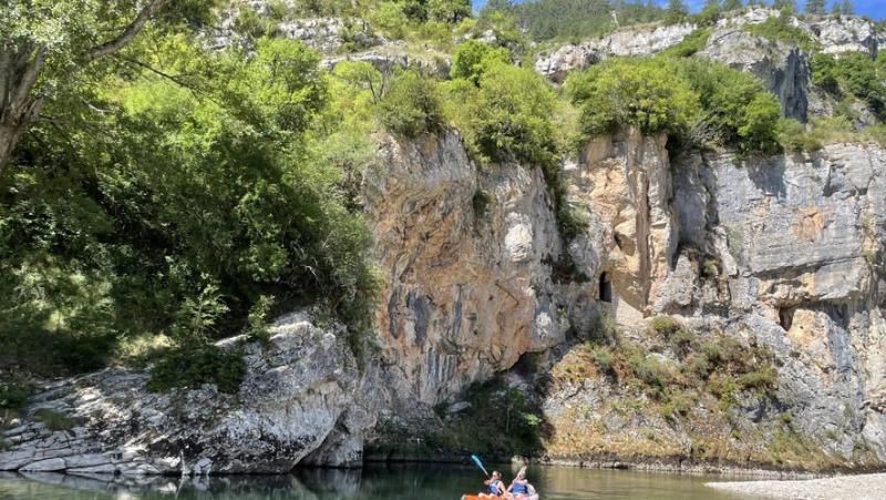 En Lozère et en Aveyron, les cyanobactéries du Tarn et de la Dourbie sous surveillance