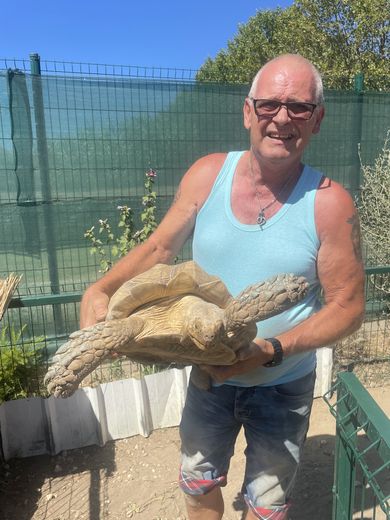 Passion Tortues : Un refuge qui soigne et accueil 1200 tortues à Vergèze