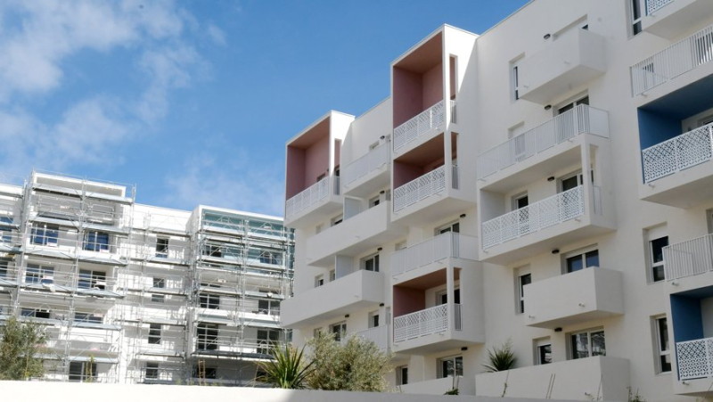 A tenant moves a family member into his apartment in Montpellier: he is evicted from his accommodation