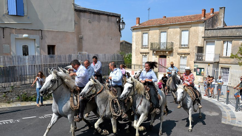 Sortir à Montpellier : fête à Saint-Géniès, jardin des plantes, marché… des idées pour ce mardi 27 août