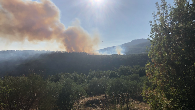 Un feu de pinède se déclare sur la commune de Saint-Privat, dans le Lodévois, la flotte aérienne et les pompiers envoyés sur place