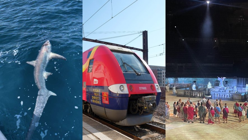 Un requin au bout de la ligne, des TER fréquentés, du grand spectacle aux arènes de Nîmes : l’essentiel de l’actualité en région