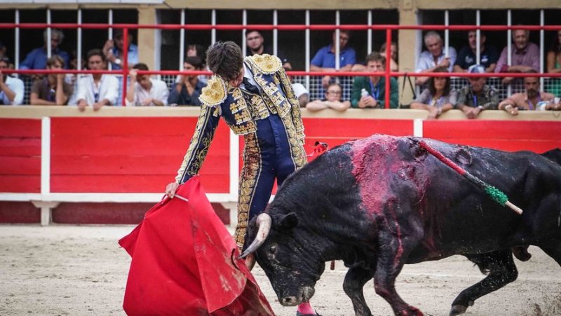 At the Saint-Gilles arenas, six ears rewarded the matadors of the day