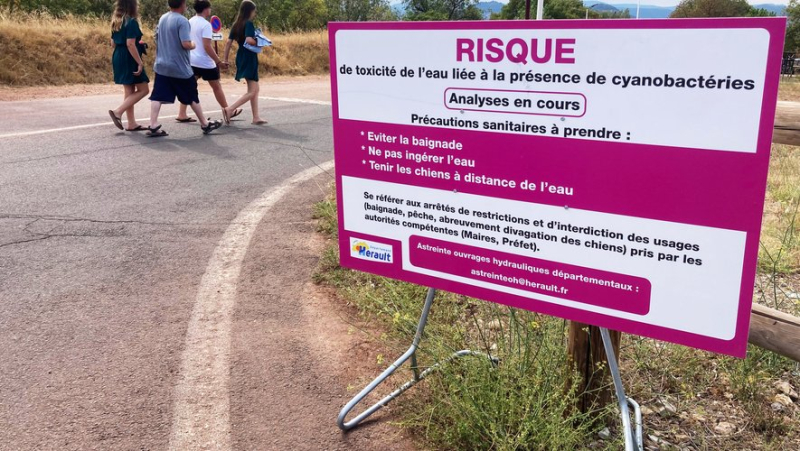 Salagou: the red flag raised in Clermont for suspected cyanobacteria