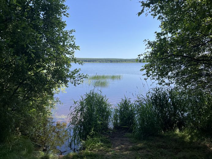 The must-see summer walks in Lozère: Lake Charpal on the Palais-du-Roi plateau