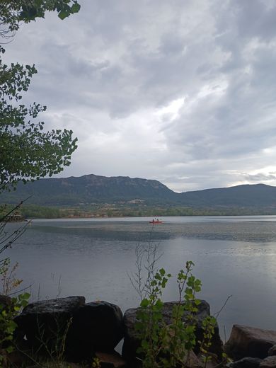 Cyanobacteria in Lake Salagou: Tourism professionals a little worried, visitors adapt