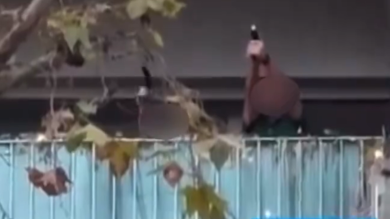 Shocking scene filmed in Paris: three off-duty police officers shoot with handguns from a balcony, they are suspended