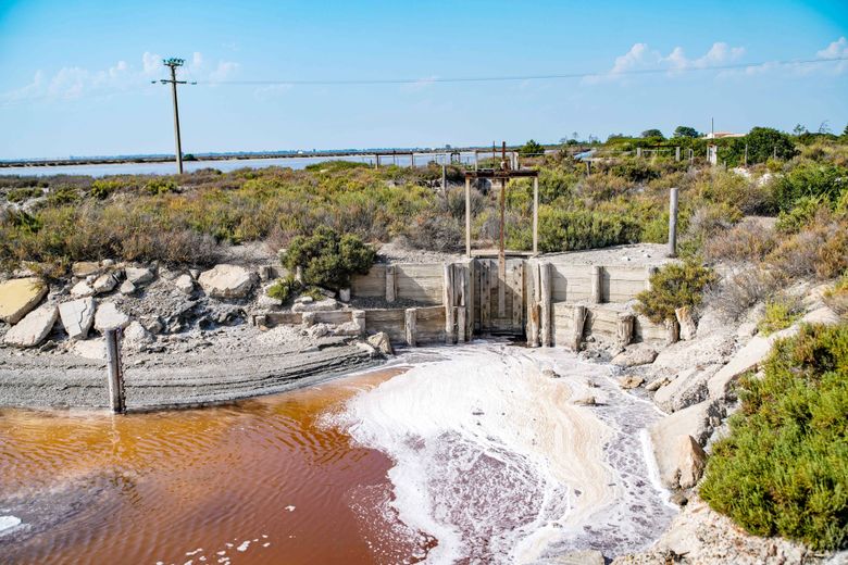 Aux origines des Salins d’Aigues-Mortes et du sel "La Baleine"