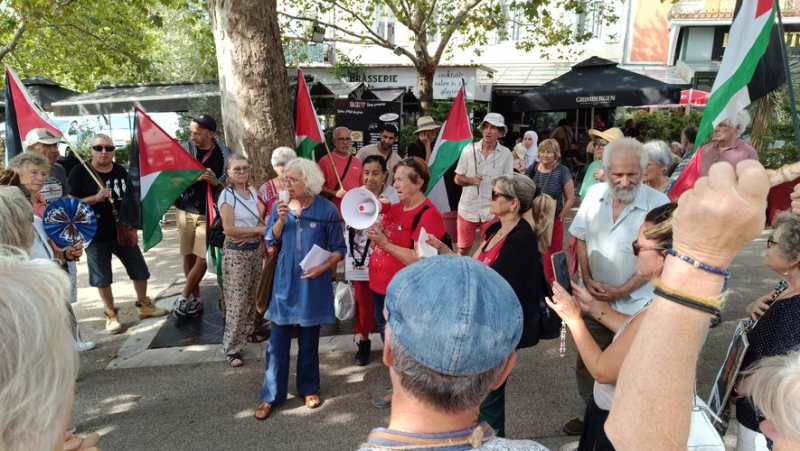 La manifestation en soutien à Gaza réunit une cinquantaine de personnes à Alès