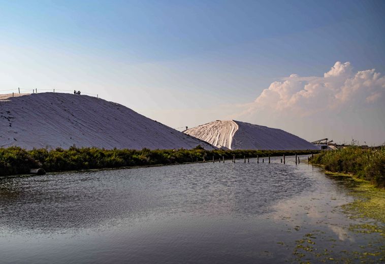 Les Salins d’Aigues-Mortes : une terre de vie au milieu de "l’or blanc"