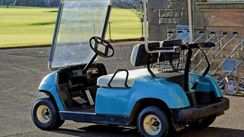 Surprising discovery for the police: two tourists are driving on a departmental road with a golf cart