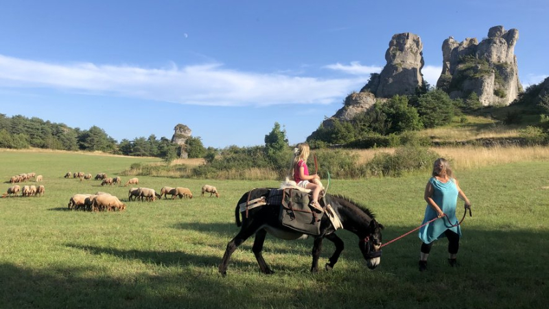 Walk to the Roquesaltes farm, on the Causse Noir, moments of sharing between visitors and the rural world