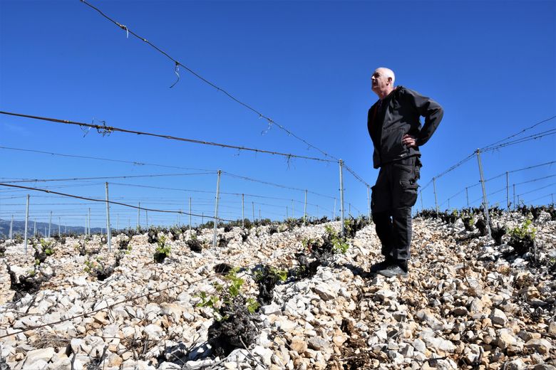 Daumas Gassac and Grange des Pères furious with the green wine guide: settling of scores at OK Corral