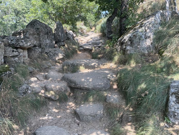 The must-see summer walks in Lozère: behind the trees, the sumptuous Rûnes waterfall