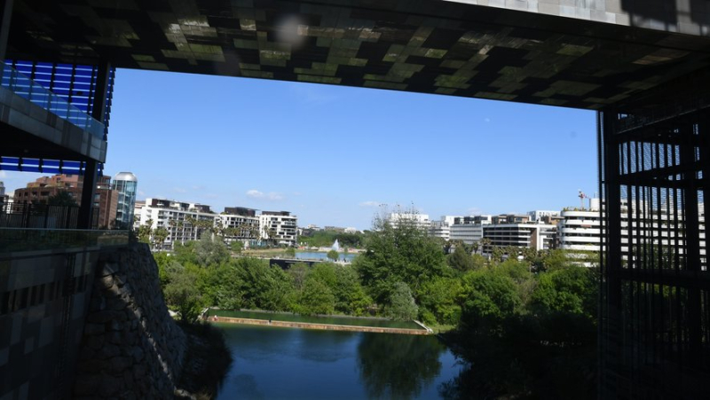 Sortir à Montpellier : atelier lecture, ciné en plein air pour fêter la Libération… des idées pour ce mercredi 28 août