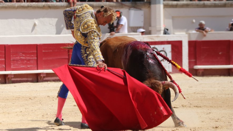 Feria de Béziers: Lalo de Maria triumphant with a great novillada