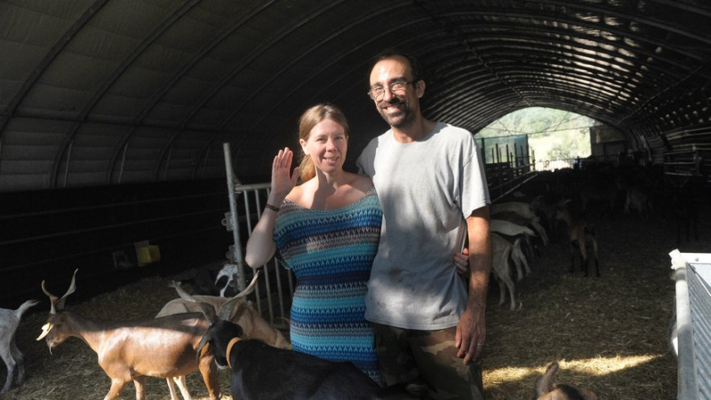 Goat&#39;s milk ice creams to discover the scents of the scrubland