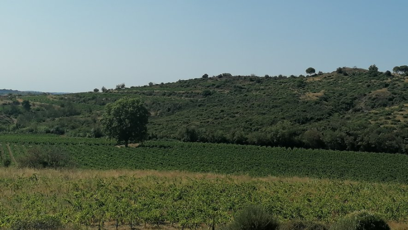 One hundred years ago, in 1924, oil gushed out from beneath the soil of the small village of Gabian, near Béziers!