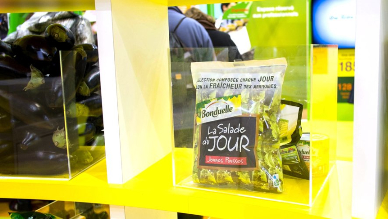 Bonduelle, the vegetable specialist brand, wants to sell its bagged salad business in France and Germany